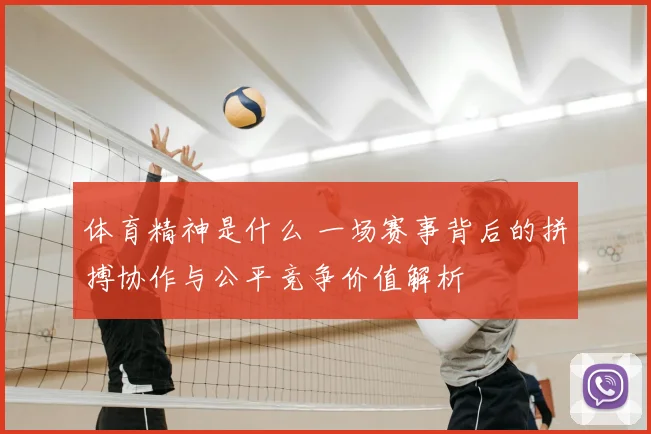 体育精神是什么 一场赛事背后的拼搏协作与公平竞争价值解析
