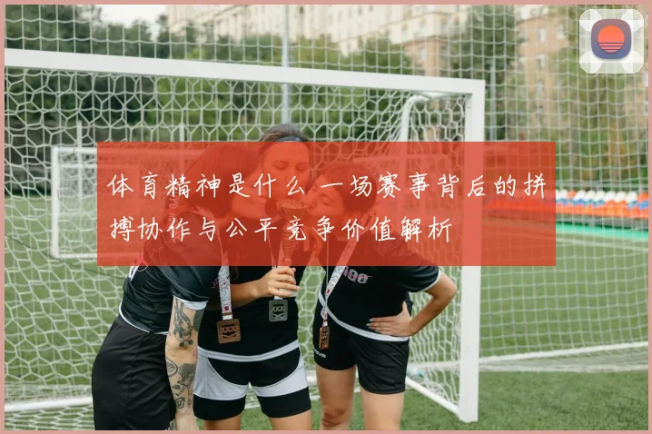 体育精神是什么 一场赛事背后的拼搏协作与公平竞争价值解析